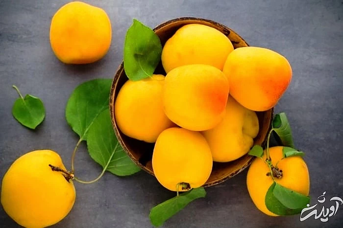 خواص مصرف زردآلو زردآلو برای لاغری